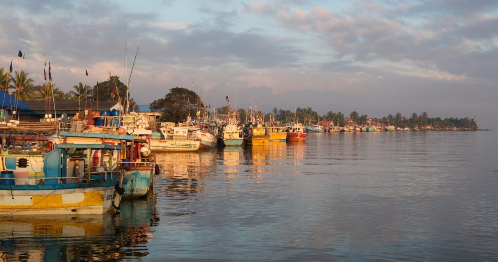 Negombo Boat wharf