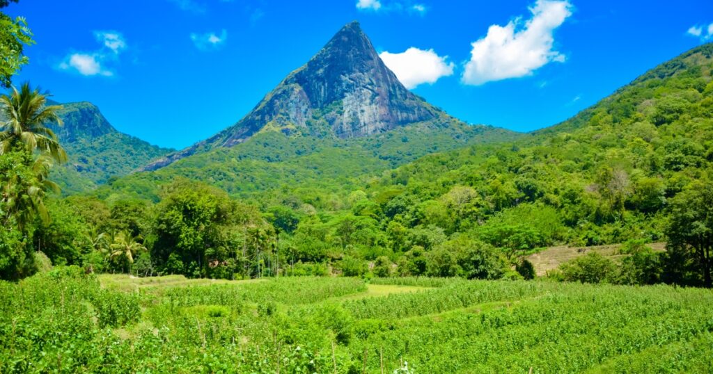 Green view of Knucles Mountain range