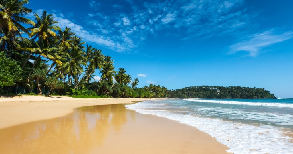 Sri Lanka Coastline