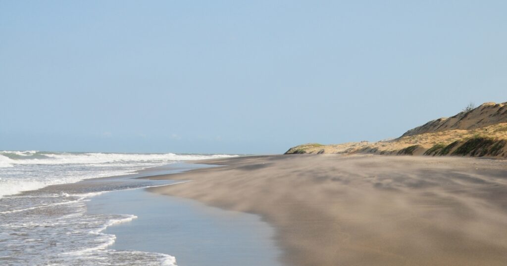 peanut farm beach