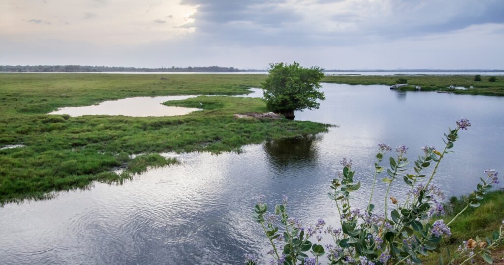 pottuvil lagoon