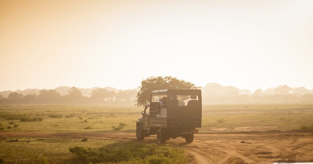 yala safari jeep