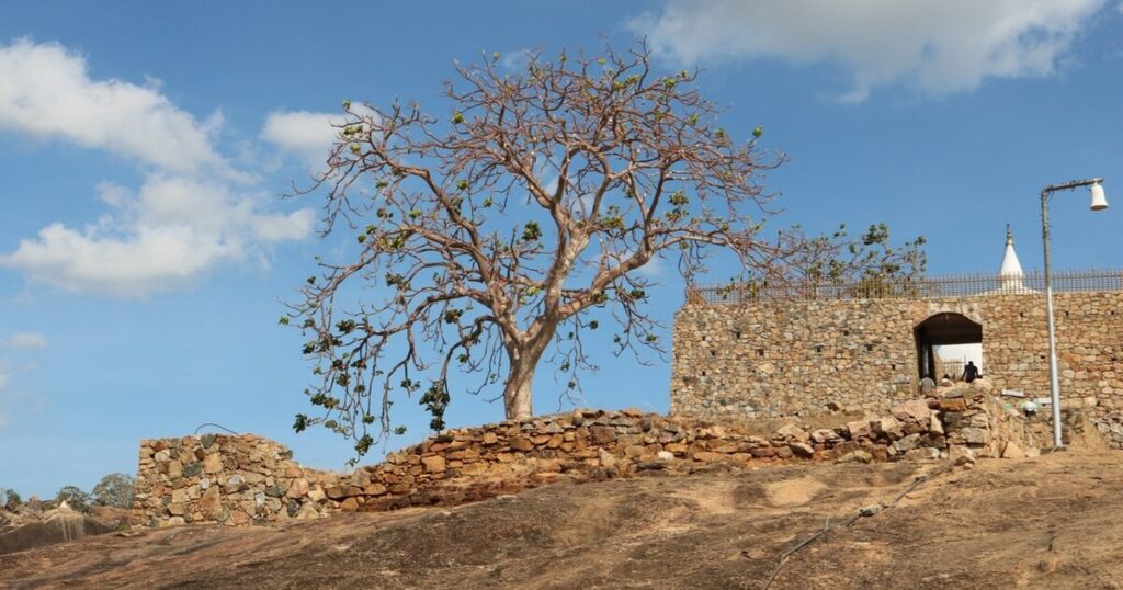 Sithulpawwa Rock Temple