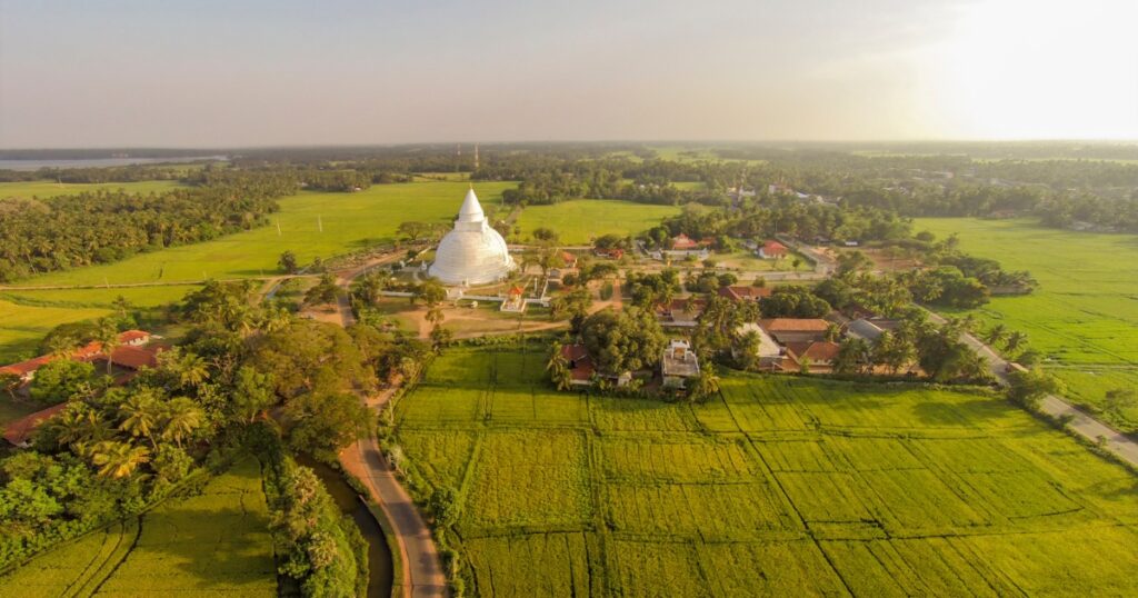 tissa aerial view