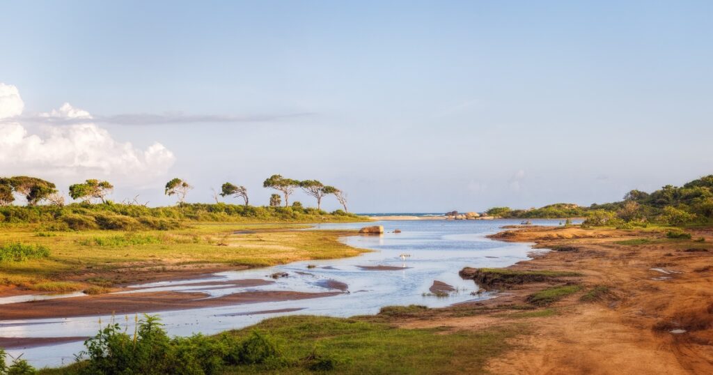 yala landscape