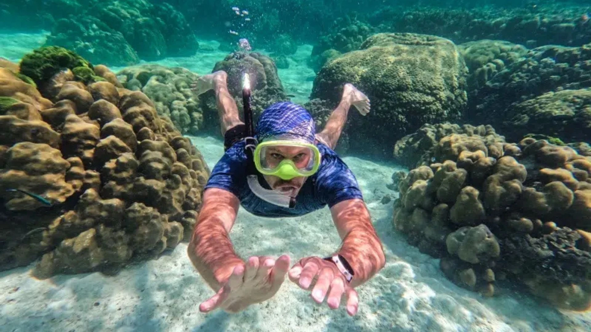 pigeon island snorkelling