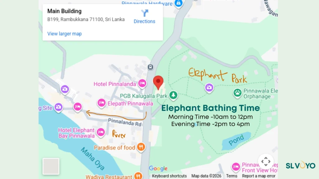 Pinnawala Elephant Orphanage Sri Lanka