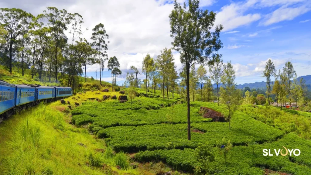 Ella hill country town surrounded by misty mountains and tea plantations