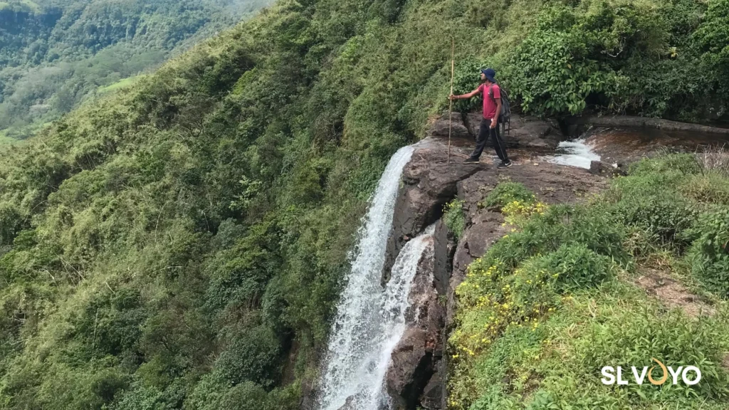 Hiking through Knuckles wilderness on the Kotaganga Waterfalls tour