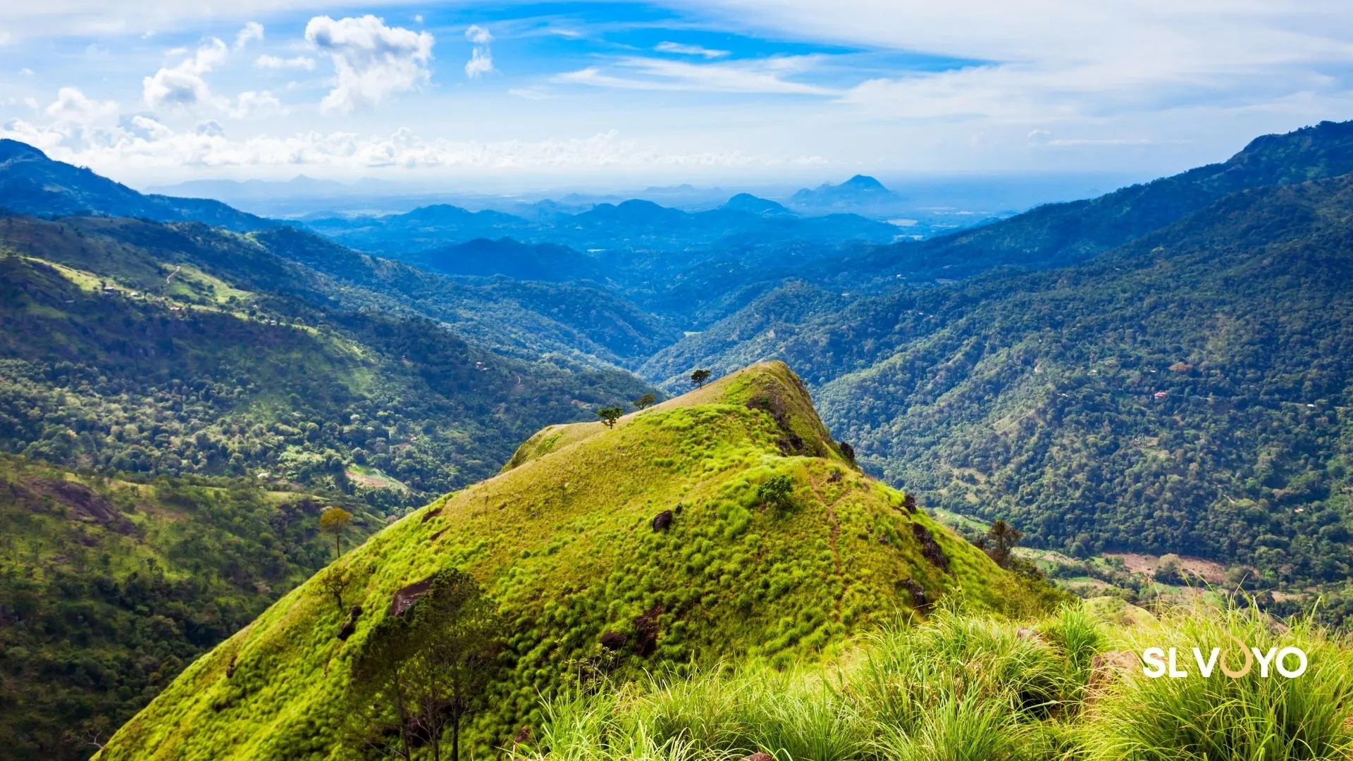 View from Little Adam’s Peak in Ella overlooking tea plantations and mountains