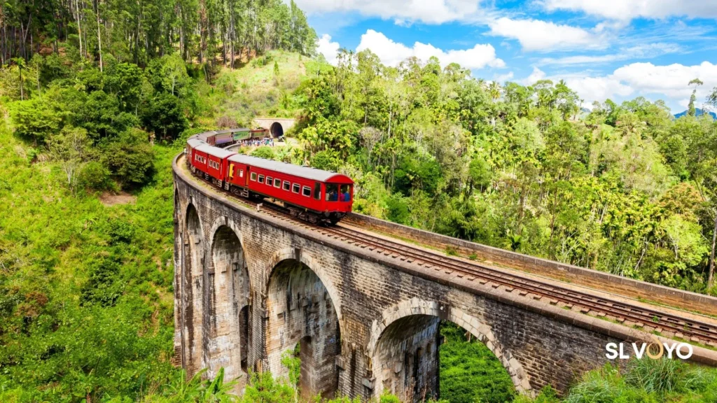 Nine Arch Bridge in Ella with a train passing through the tea plantation valley