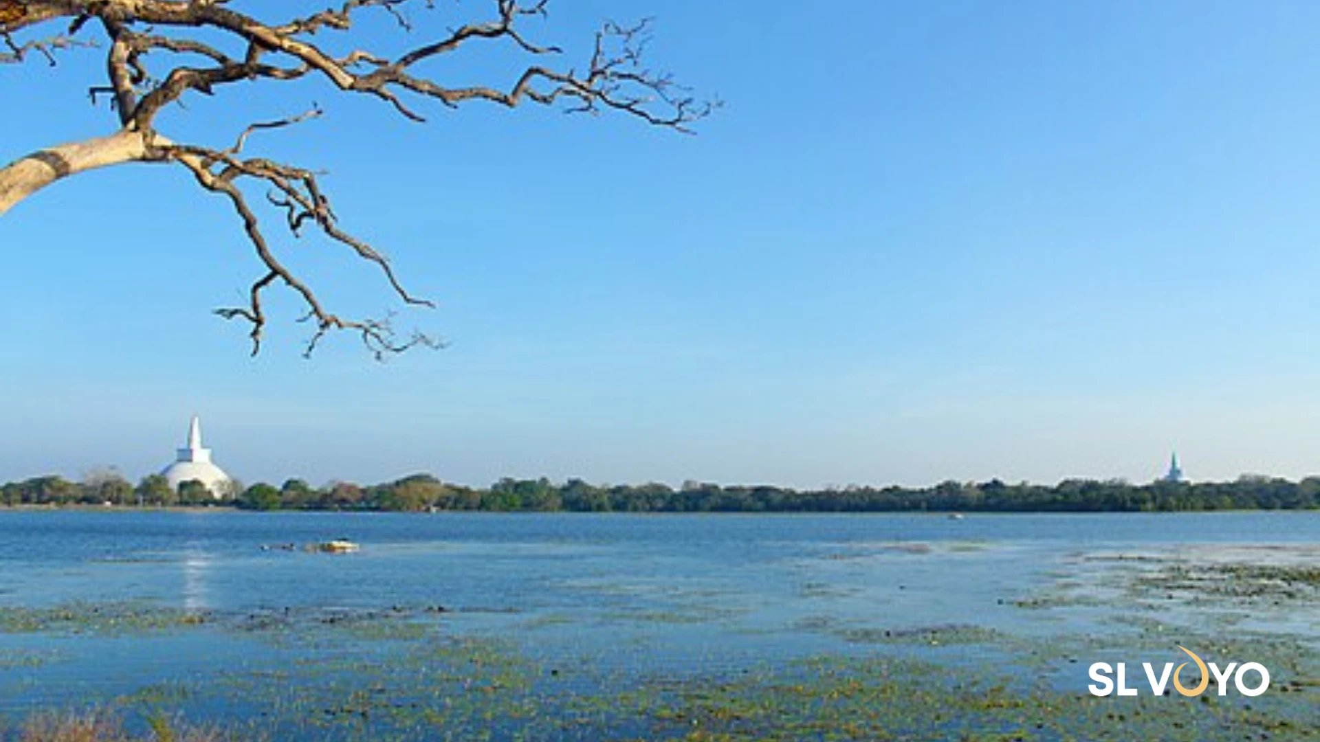Basawakkulama Wewa, Sri Lanka’s first ancient reservoir near Anuradhapura