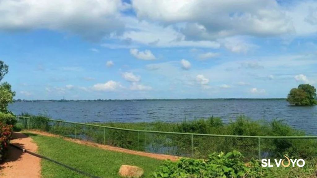 Nuwara Wewa ancient reservoir surrounded by greenery in Anuradhapura