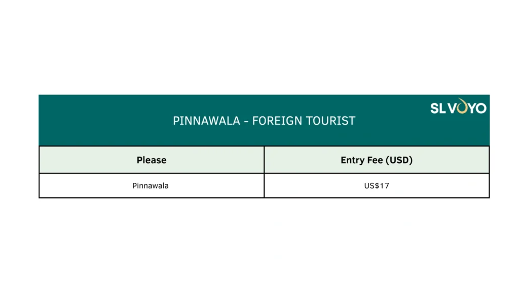 Pinnawala Pricing table