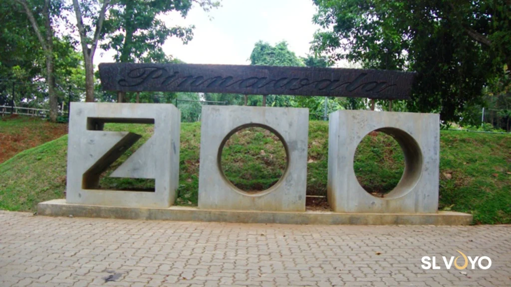 Pinnawala ZOO - Sri Lanka