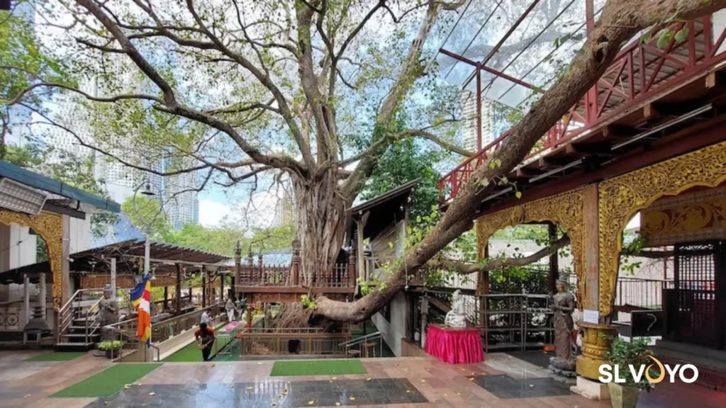 Gangarama Temple sri lanka