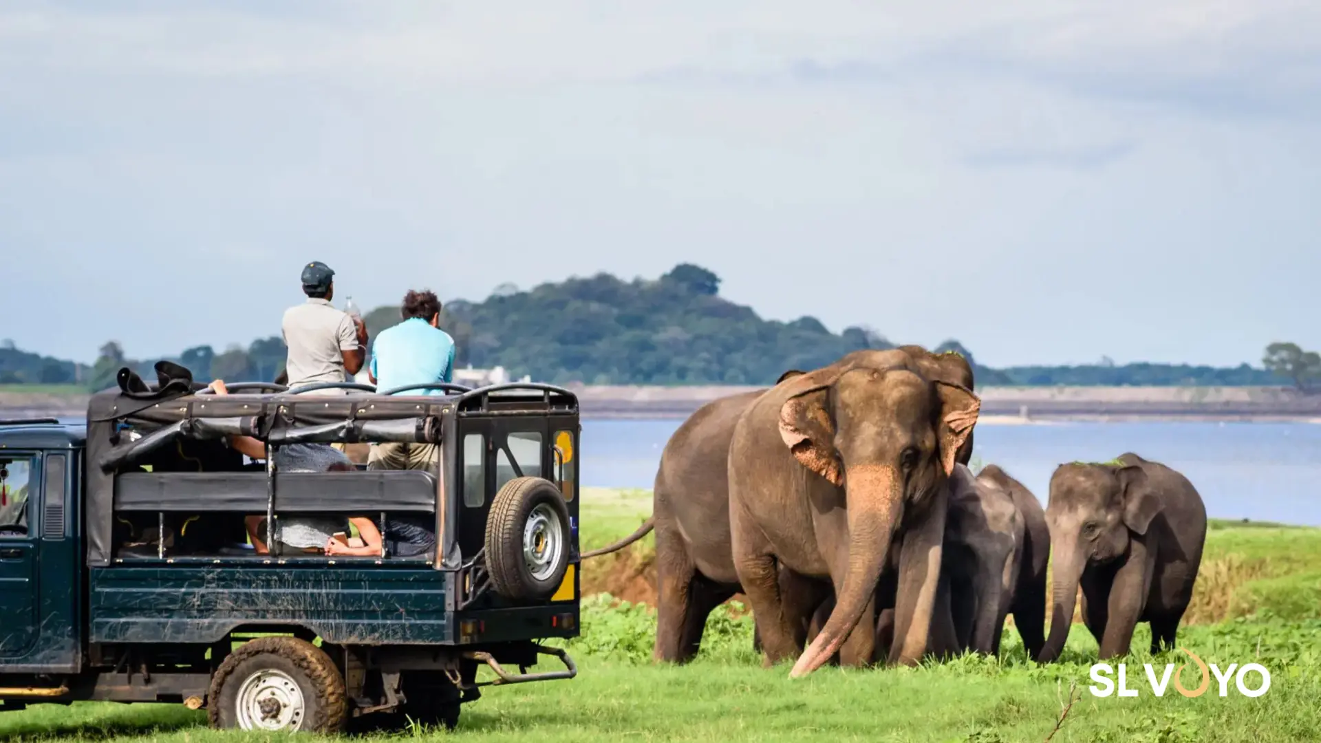 Wilpaththu National park safari