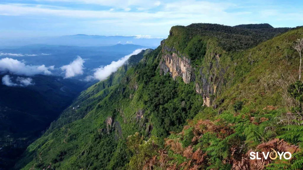 Horton Plains