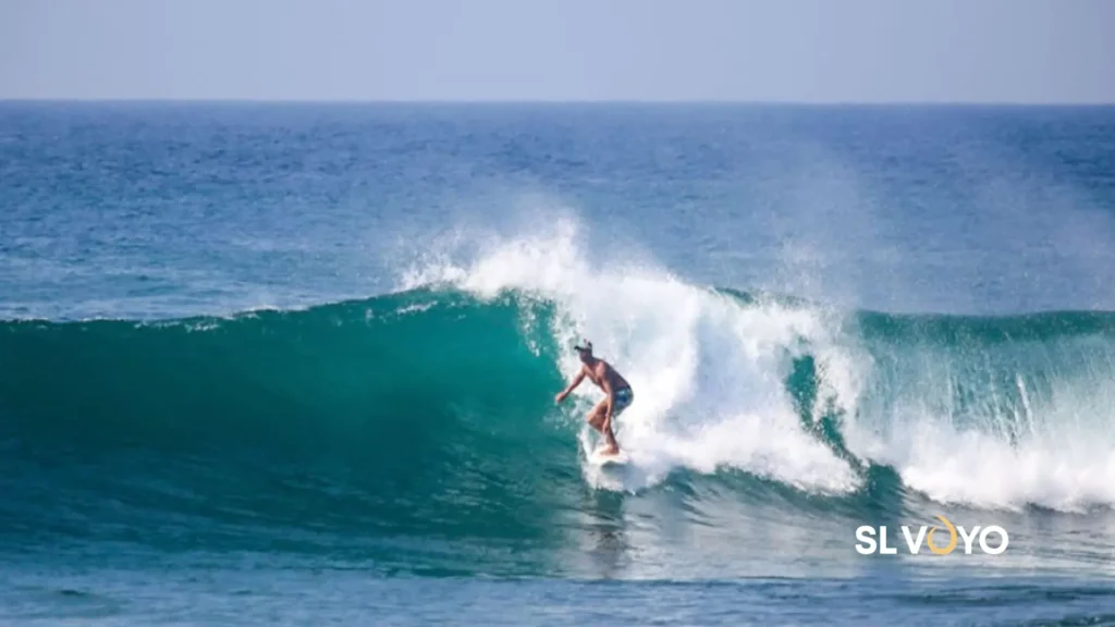 Arugam Bay Beach Surfing