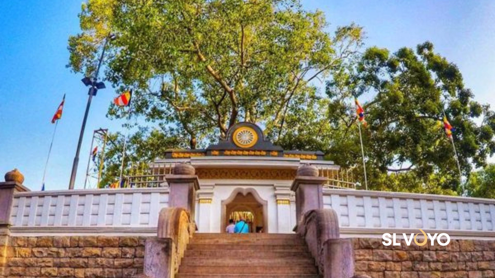 Jaya sri maha bodhiya