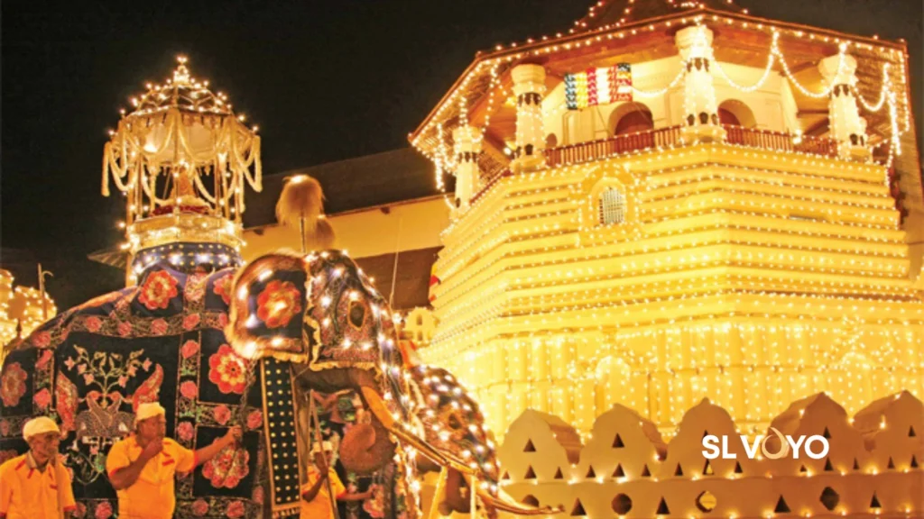 Kandy Perahera
