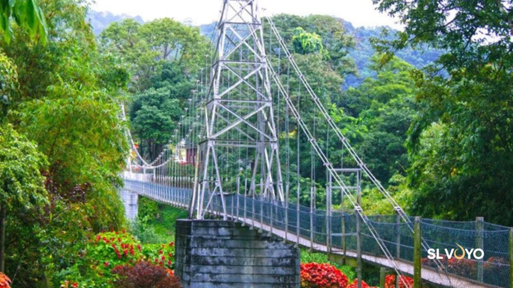 Peradeniya famous bridge