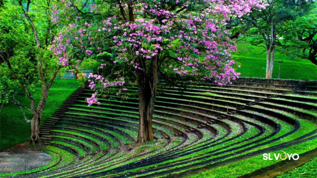 Peradeniya Garden