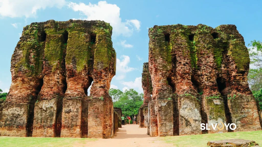 Rice ancient Kingdom