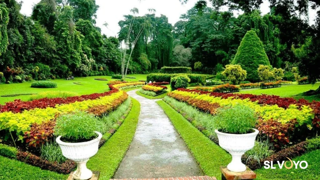 Peradeniya Garden