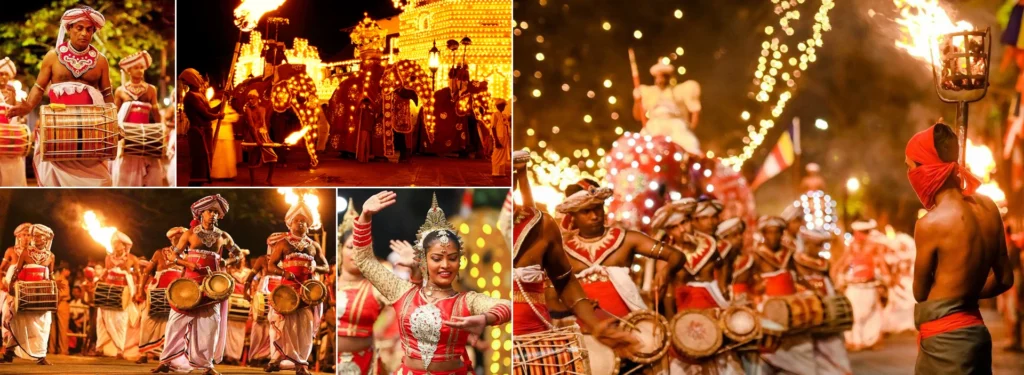 Perahera sri lanka