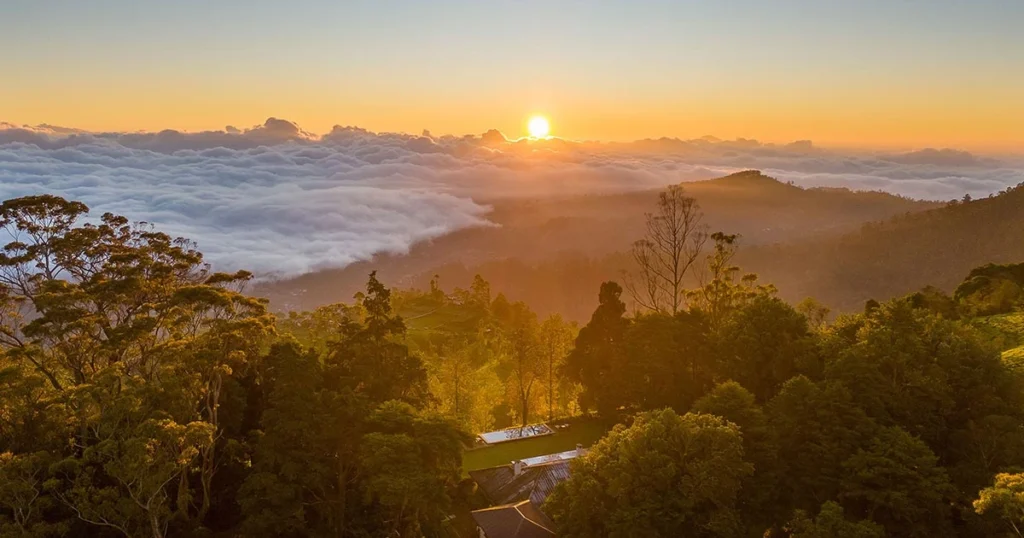 sunrise nuwaraeliya