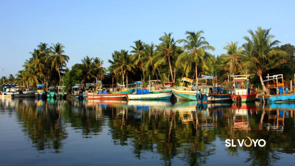 Batticaloa Lagoon