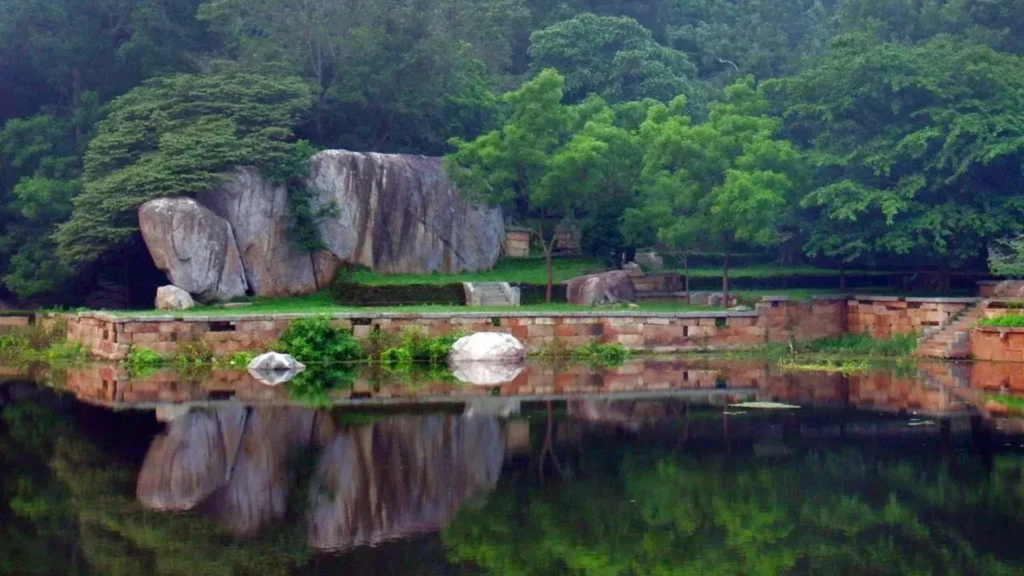 Calm forest lake with trees