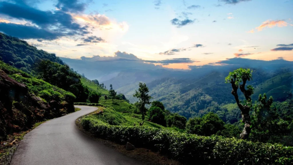 Dolosbage Beautiful Road