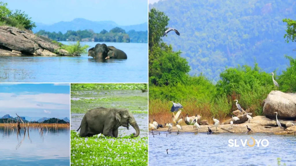 Gal oya national park