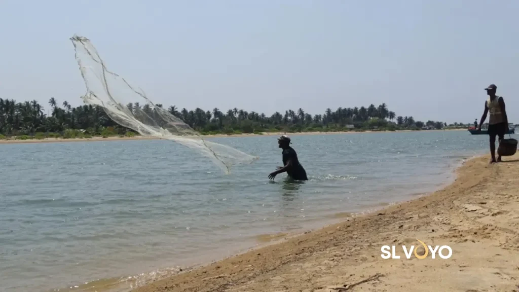 Kalpitiya coastal fishing village