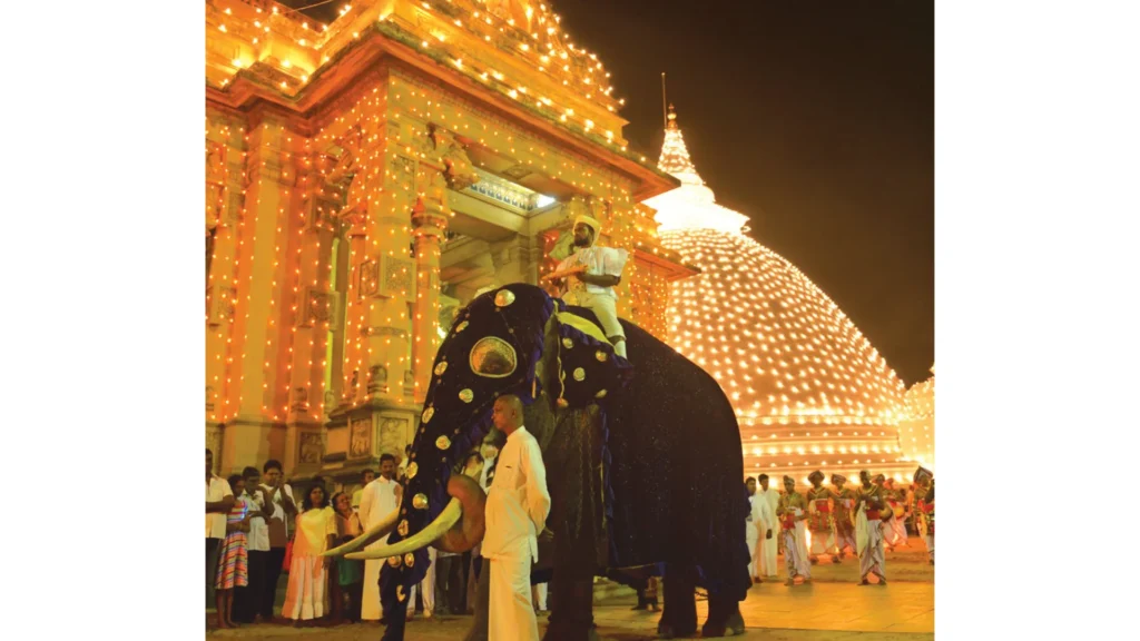 Kelaniya Perahera elephants tusker