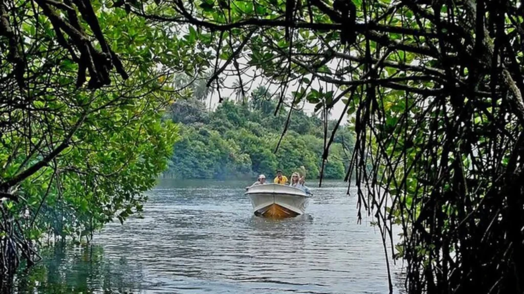 Kosgoda with optional river safari