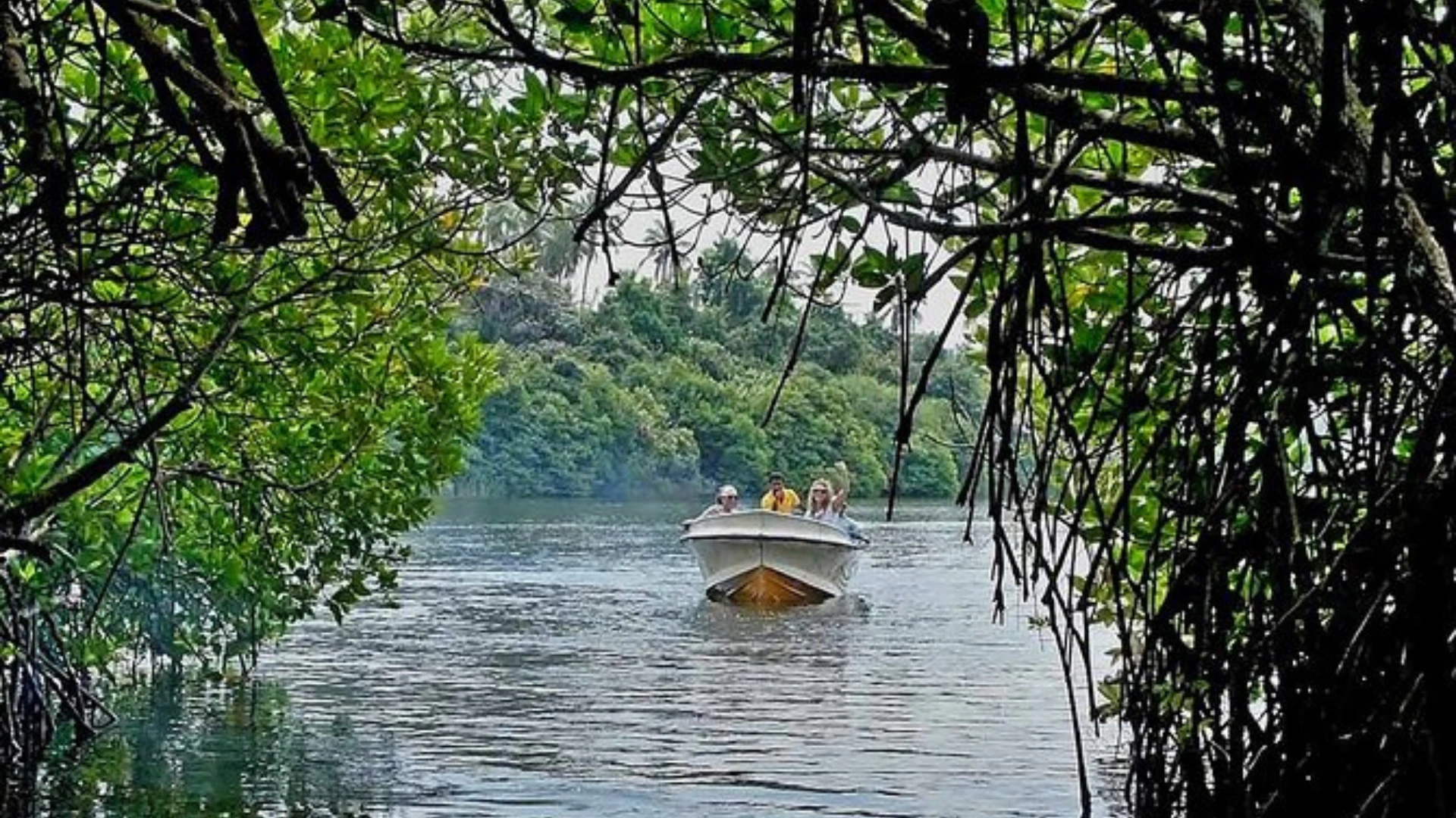 Kosgoda with optional river safari