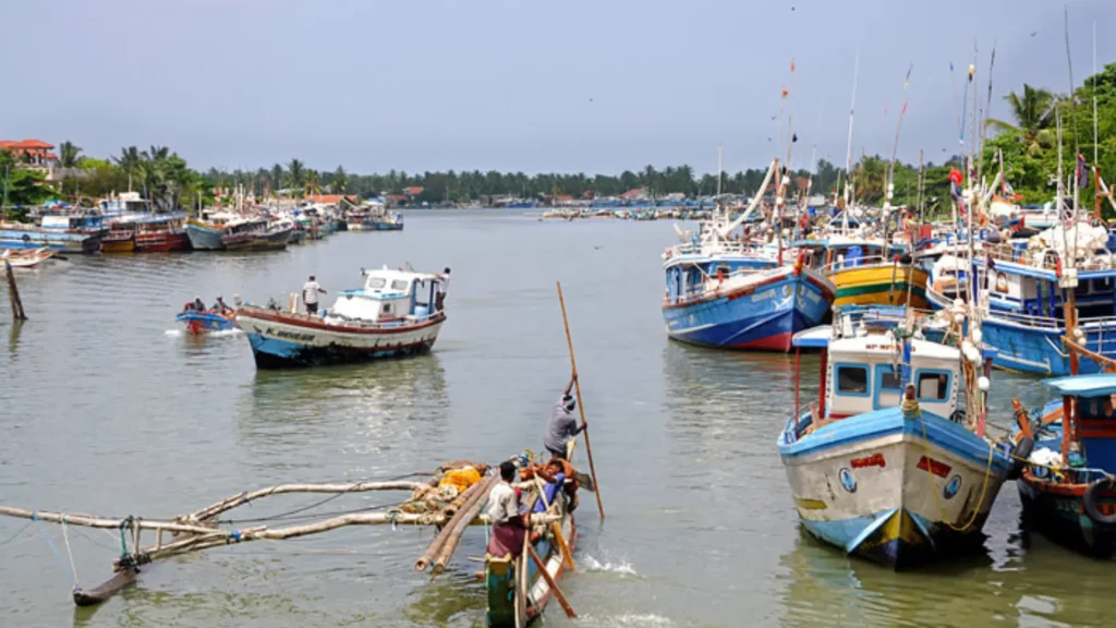 Negombo lagoon fishing boats Sri Lanka