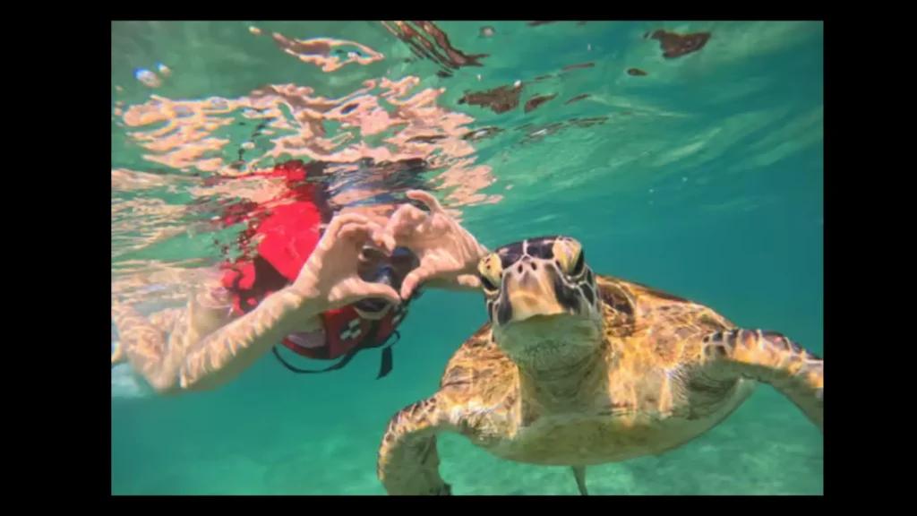 Polhena Beach calm water snorkelling