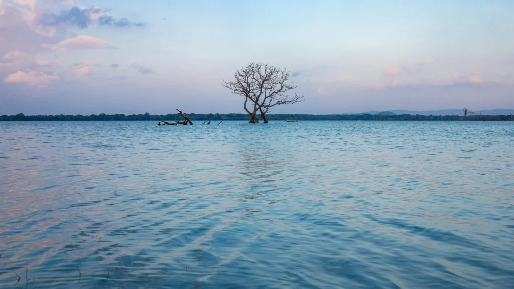 Scenic reservoir reflecting trees