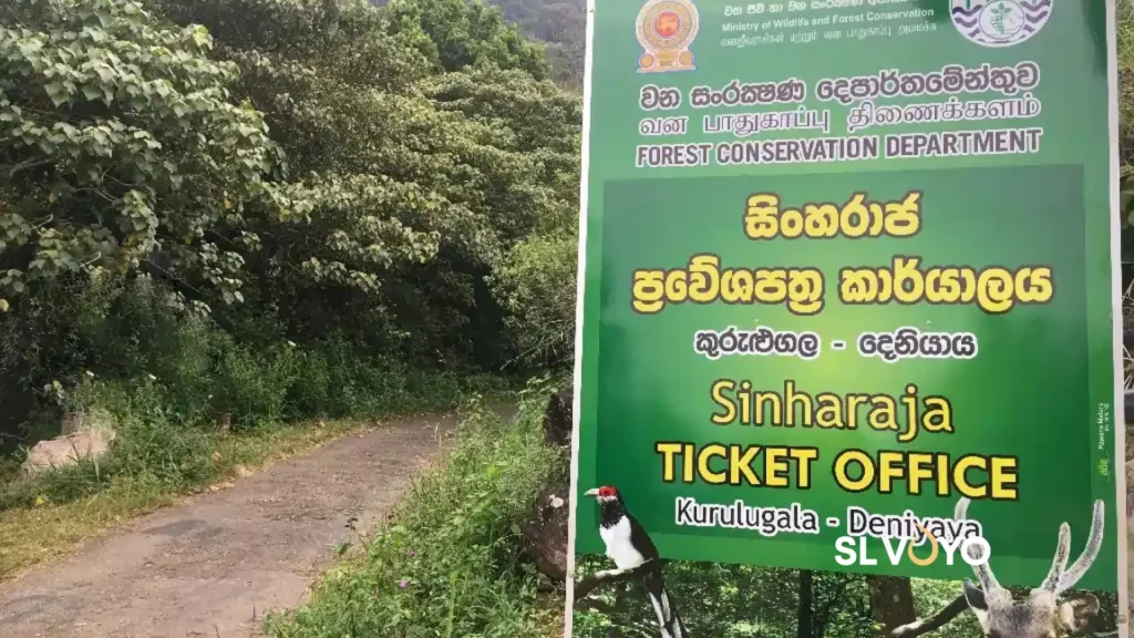 Sinharaja Rainforest Deniyaya Entrance