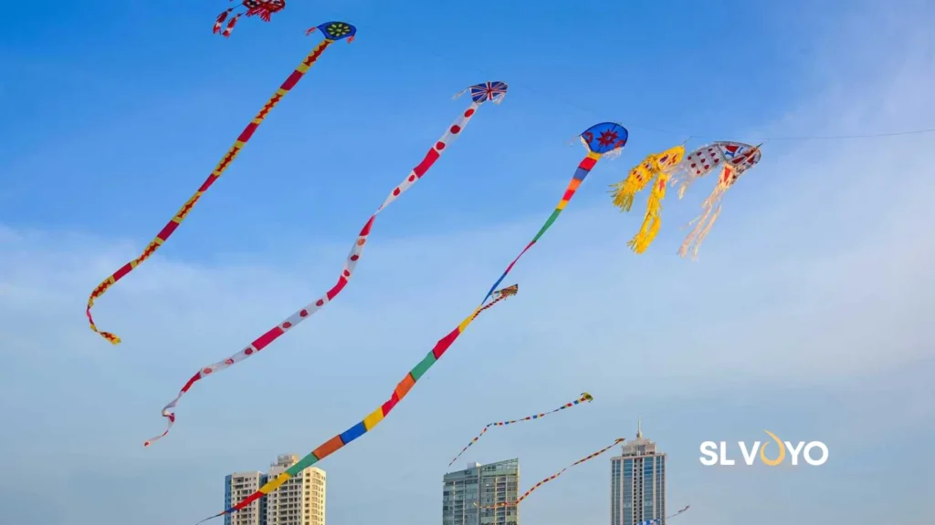 Sri Lanka kite flying culture
