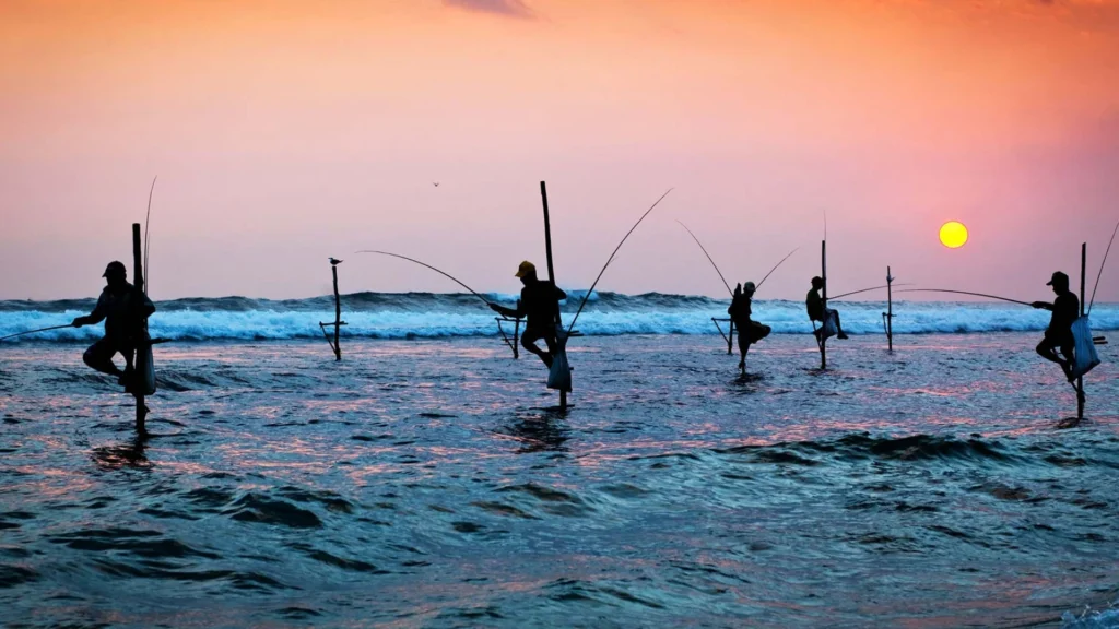 Sri Lanka stilt fishing coastal tradition