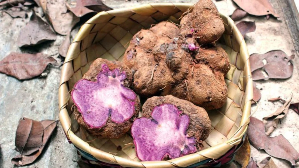 Sri Lankan yam varieties tubers