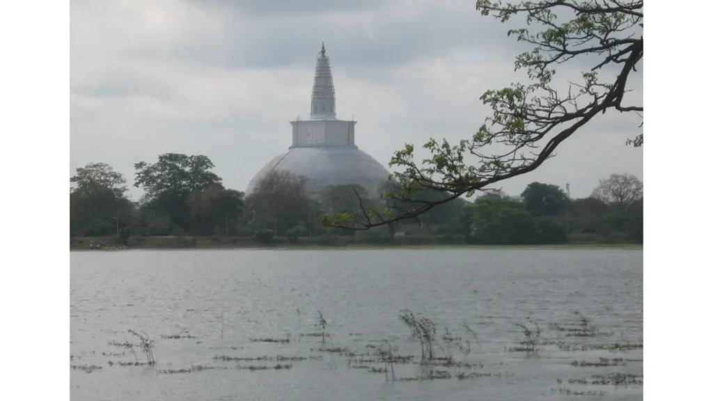 Wide scenic view of Padaviya Wewa2