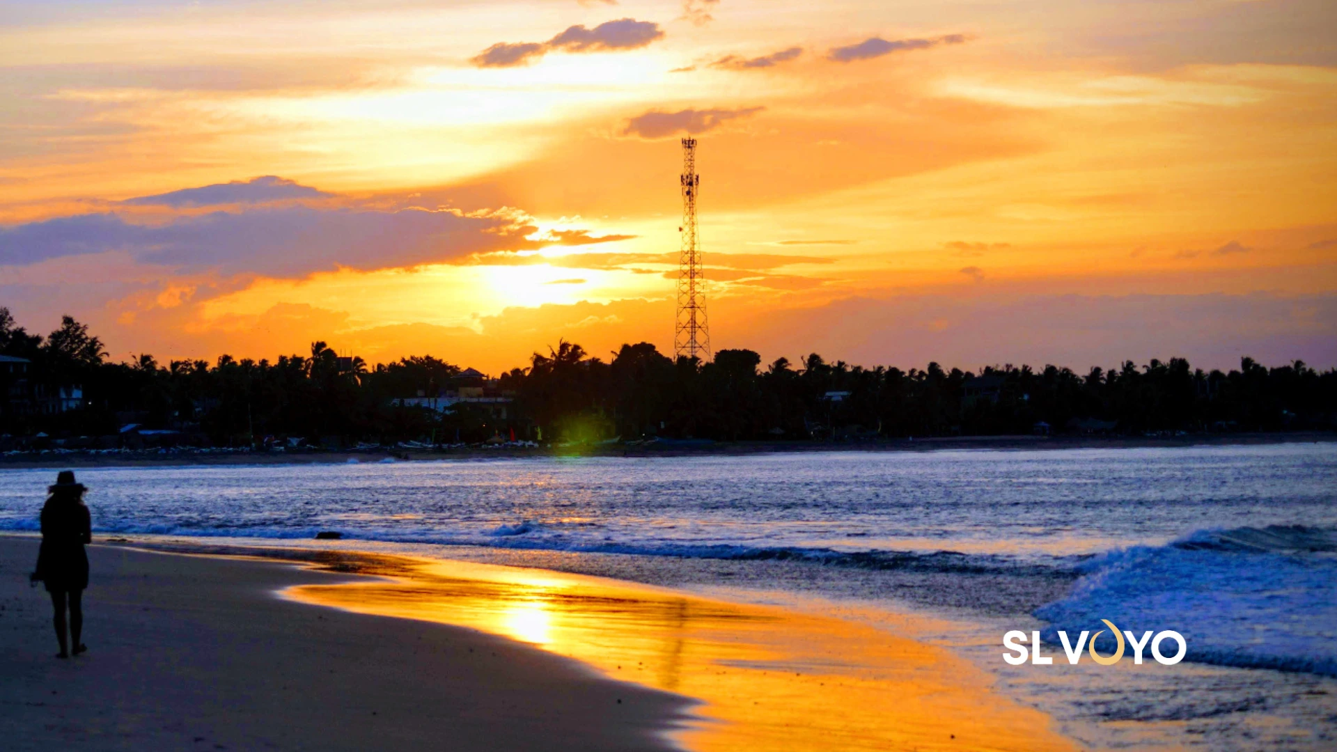 sunset nightlife beach