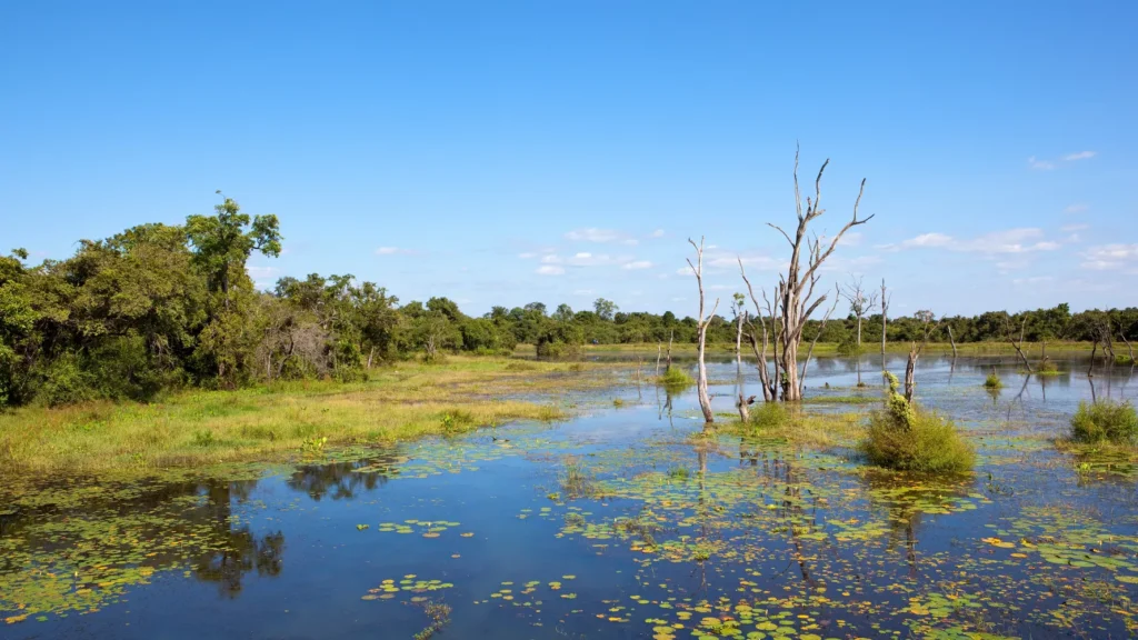 wasgamuwa reiseort nationalpark flussfahrt wasser natucate