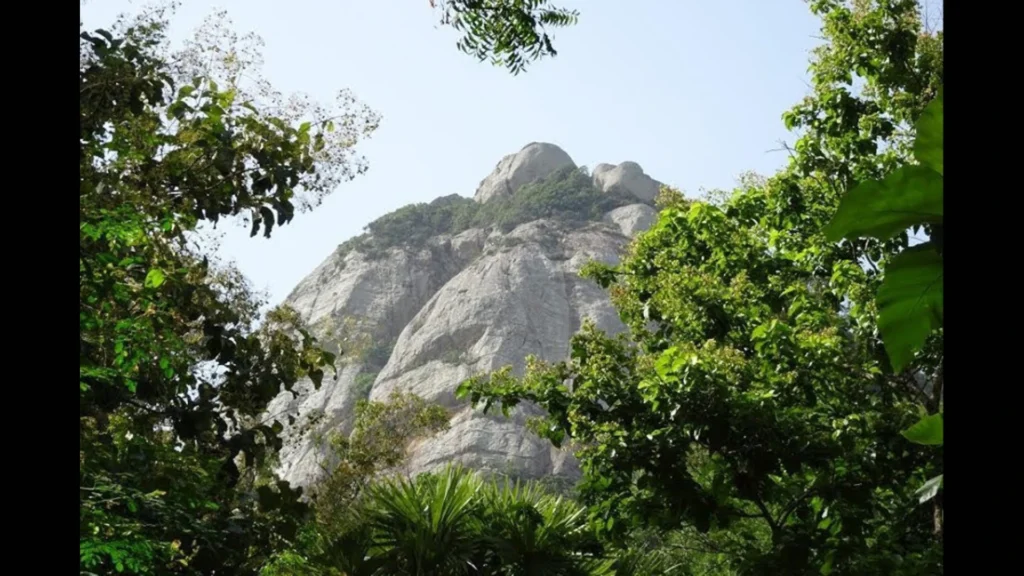 Kuwenigala Scenic forest paths
